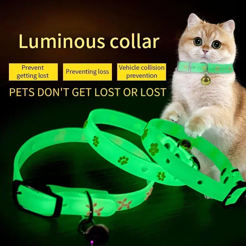 Glow Spooky Collar