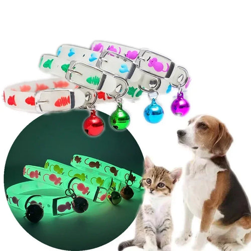 Glow Spooky Collar