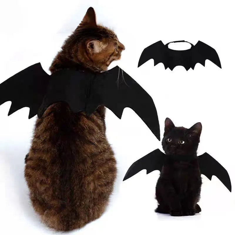 Witching Hour Cape & Hat Set