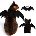 Witching Hour Cape & Hat Set
