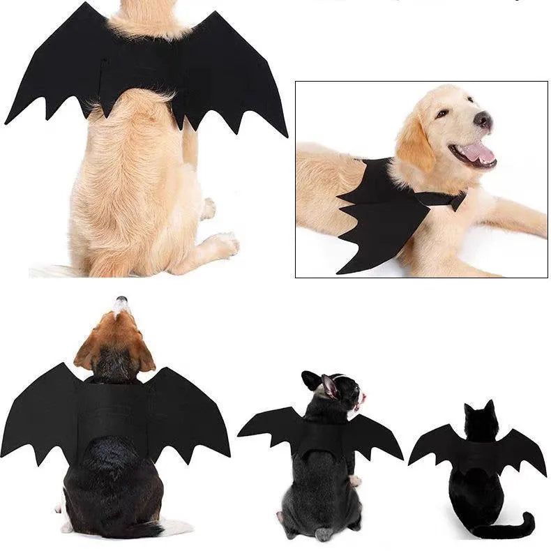 Witching Hour Cape & Hat Set